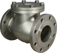 Swing Check Valve